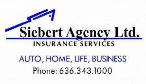 Siebert Agency Ltd. Logo