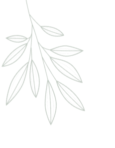 right-tree-1 2