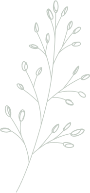right-tree-2 1(2)